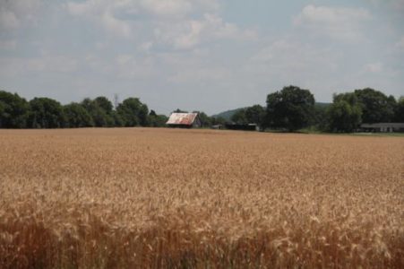 A Country Girl Streakin' Experience Image